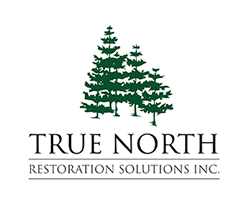 TRUE-NORTH-logo
