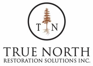 True North Restoration Solutions - Log Restoration & Repair