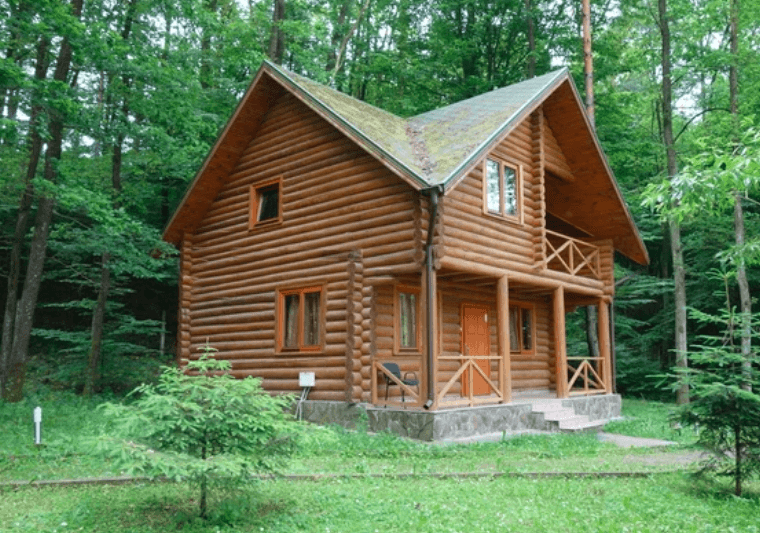 Log Home Restoration