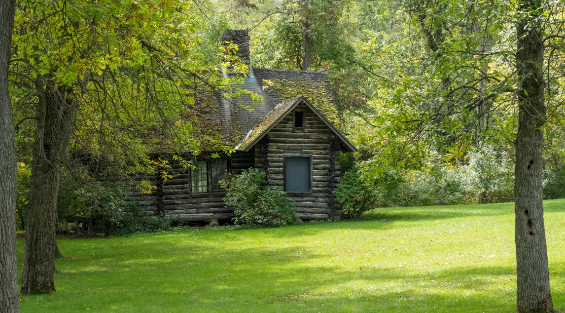 Impact of Pollen on Your Log Home