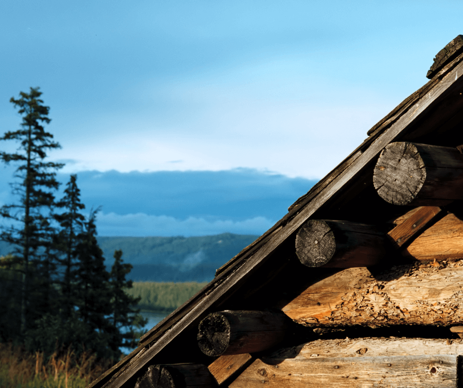 the disadvantages of log homes