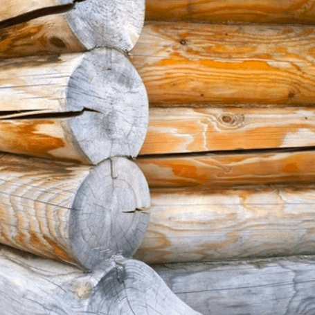 Log Home Rot Repair