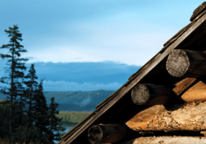 the disadvantages of log homes